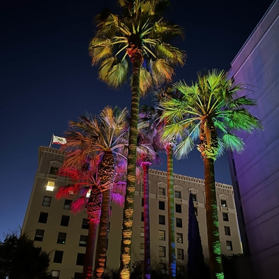 Color-changing lighting with our Bonsai color series fixtures provide brilliant color and the abilit Photo